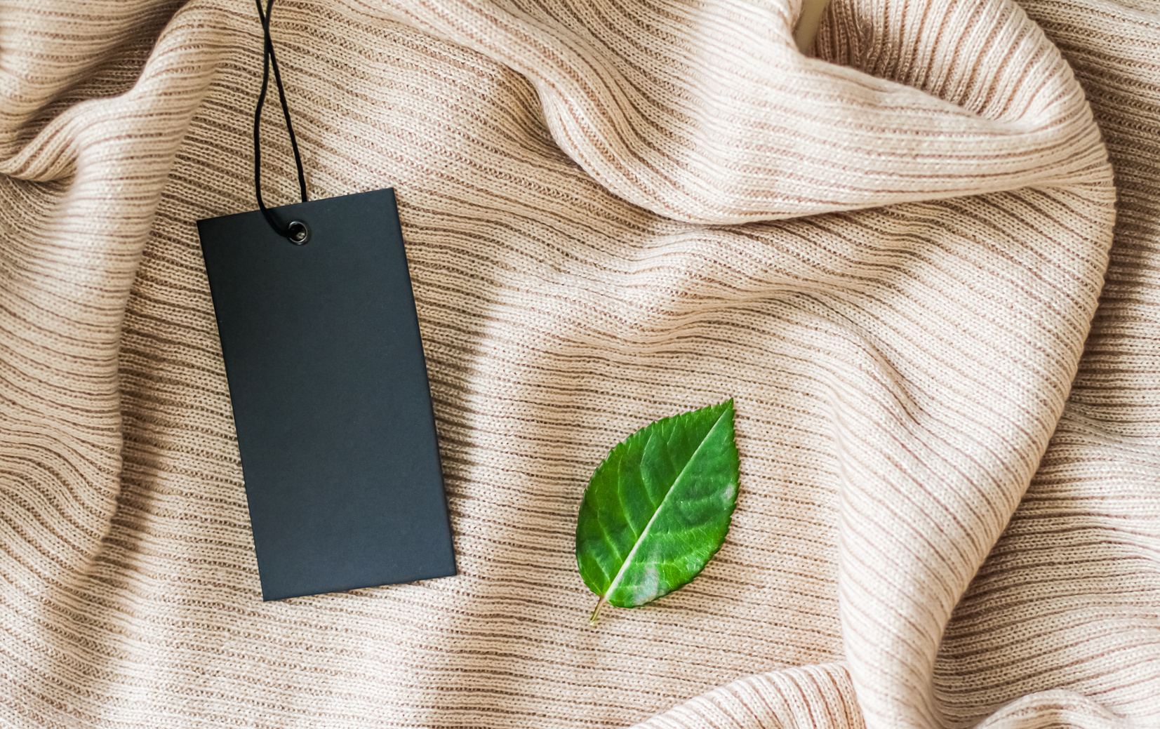 Clothing Tag and Green Leaf as Eco-Friendly Flatlay Background, Sustainable Fashion and Brand Label Concept